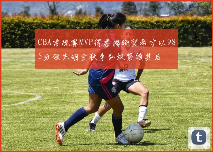 CBA常规赛MVP得票揭晓贺希宁以985分领先胡金秋李弘权紧随其后