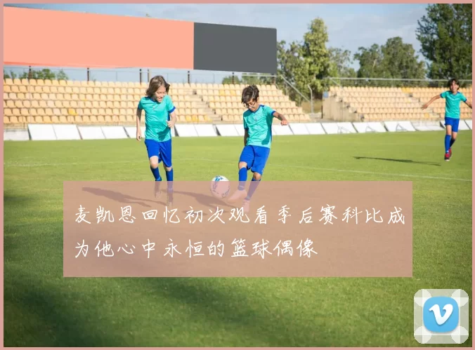 麦凯恩回忆初次观看季后赛科比成为他心中永恒的篮球偶像